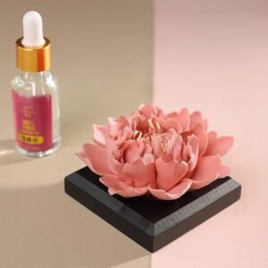 Procelaines pivoine rouge